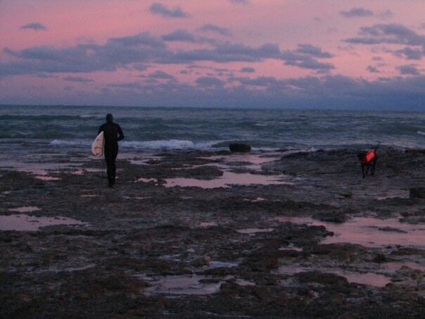 Dawn Swell Search